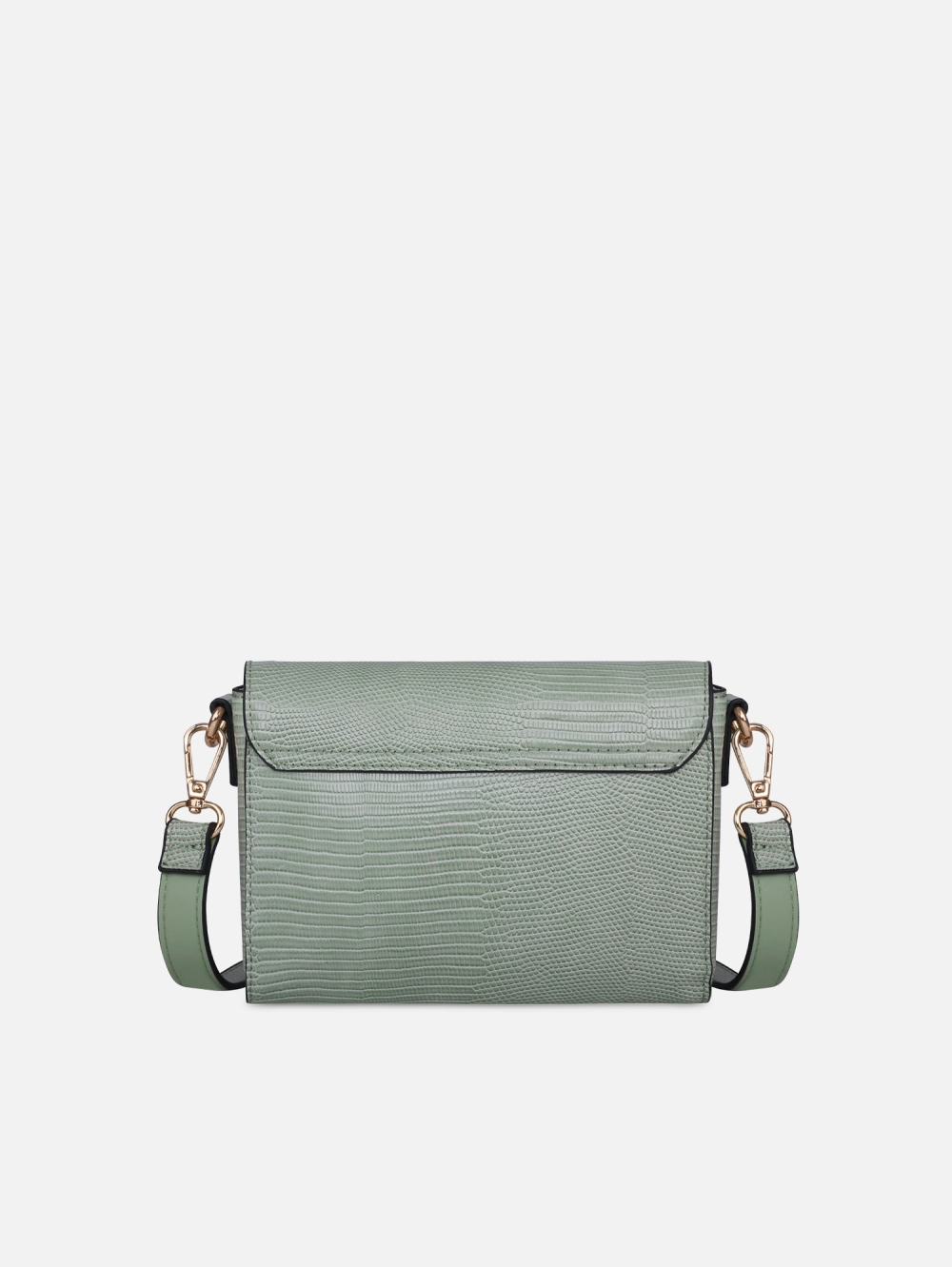 Morral Cazzia
