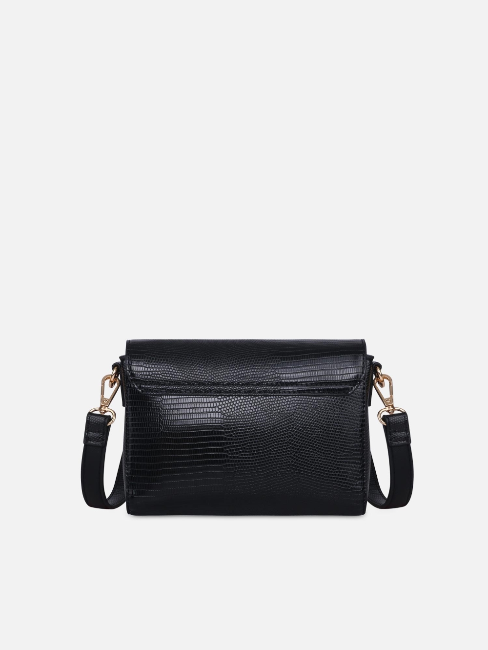 Morral Cazzia